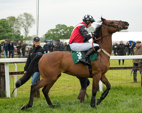 Race 1 - Hunt Members (24 of 132)