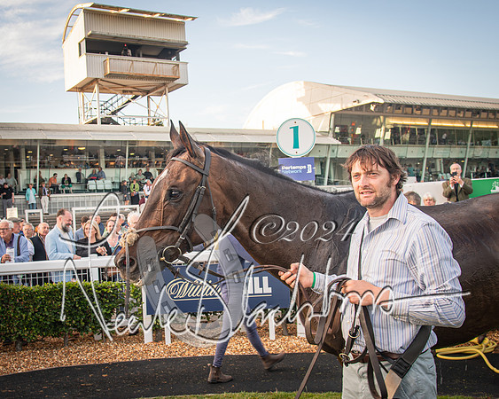 Race 5 - tipsterreviews.co.uk handicap (99 of 107)