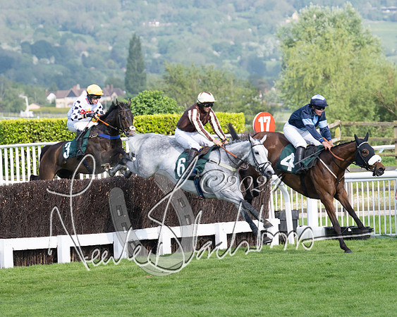 Race 1 - The Bottle Green Open Hunters steeplechase 2m62y (30 of 93)