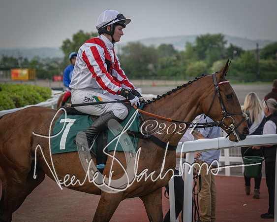 Race 5 - Mares Open Hunter Steeplechase 3m2f 70y (52 of 269)