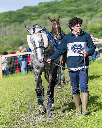 Race 6 - The Maiden  (32 of 448)