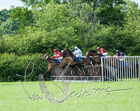 Race 5 - Restricted Race (255 of 434)