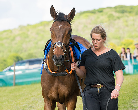 Race 6 - Open Maiden (16 of 227)