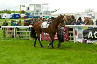 Race 5 - Restriced 4