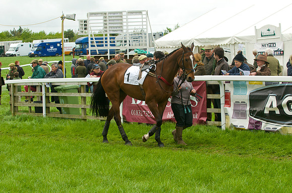 Race 5 - Restriced 4
