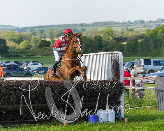 Race 7 - Veteran Horse (172 of 246)