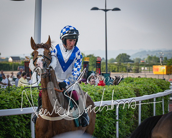 Race 4 - The Jonathan Neesom memorial open Hunter’s steeplechase 3m2f 70y (31 of 167)