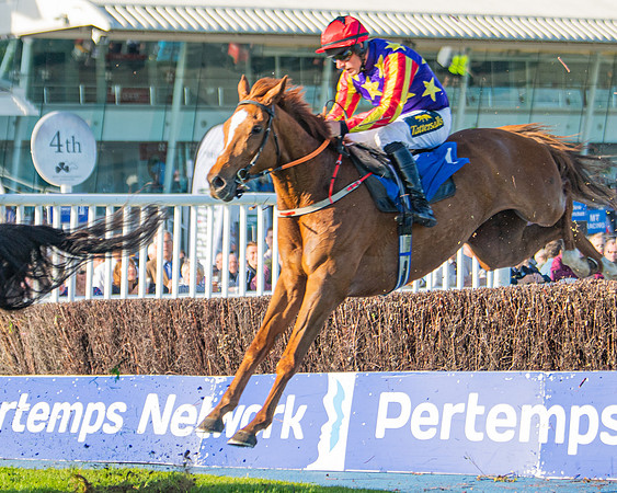 Race 3 - John Corbet Cup (44 of 88)