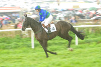 Old Berks at Lockinge PPORA novice and veteran riders race