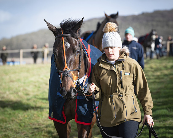Race 1 - Four and Five year Old Maiden (24 of 137)