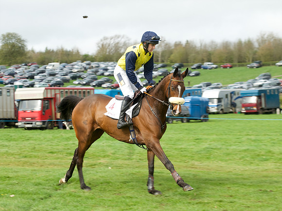 Race 5 - Restricted  7