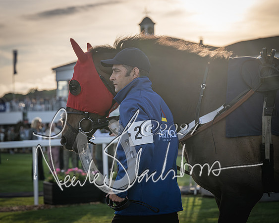 Race 5 - tipsterreviews.co.uk handicap (14 of 107)