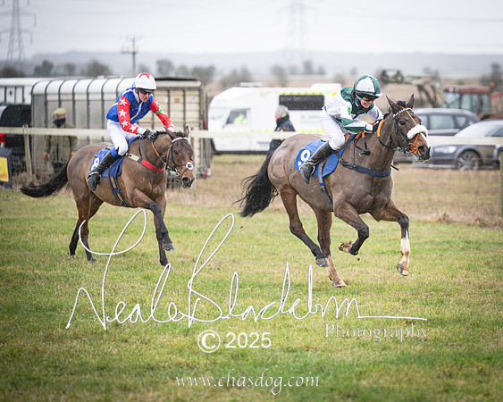 Tiny Dancer - Harry Longsdon-2