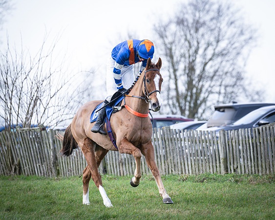 Race 2 - Maiden (36 of 145)