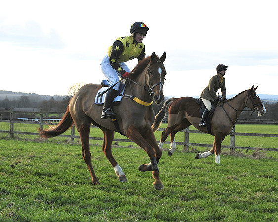 TVRC - Young Horse Maiden Division 2