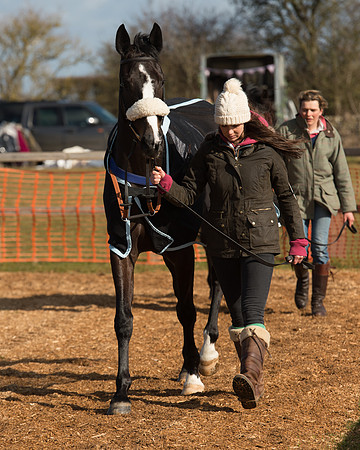 Race 1 - 4-5-6 Maiden (8 of 119).jpg