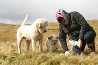 Poppy and pals 2014 -  7