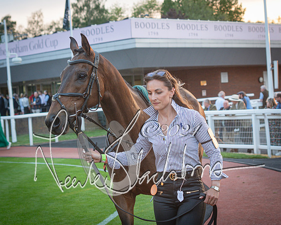 Race - 7 The Royal Gloucester Hussars Open Hunter's steeplechase 2m4f 127y (2 of 210)