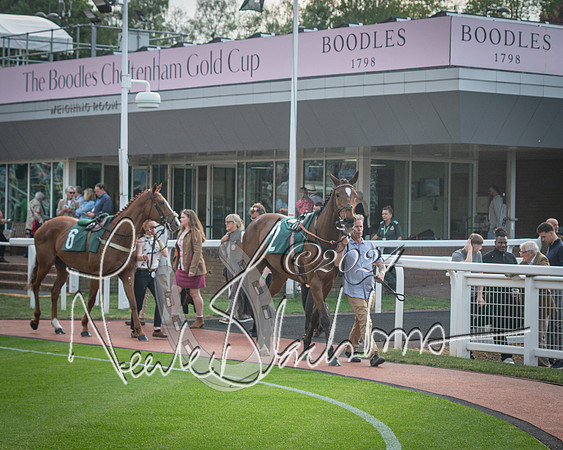 Race 5 - Mares Open Hunter Steeplechase 3m2f 70y (1 of 269)