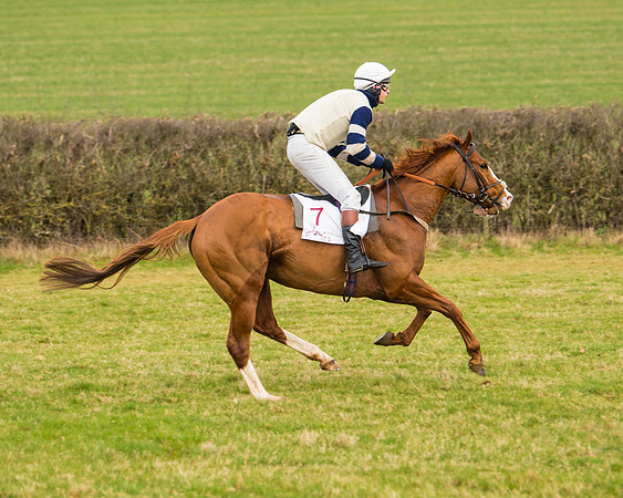 Race 3 - Restricted  (21 of 100)