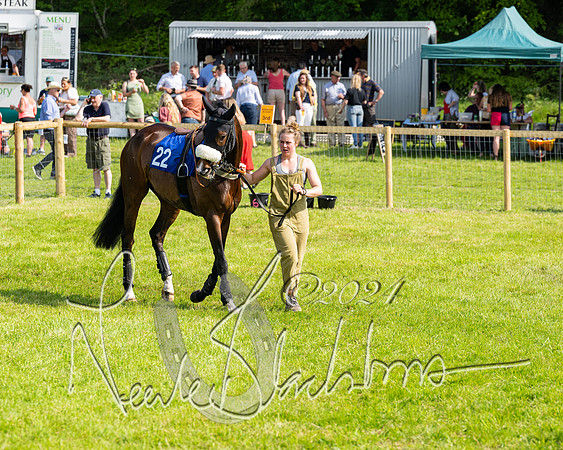 Race 5  - Maiden race 2m5F Div-1 (26 of 197)