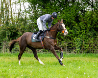 Race 3 - Young Horse Maiden (5 of 216)