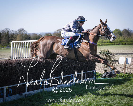 Race 5 - The restricted (76 of 113)