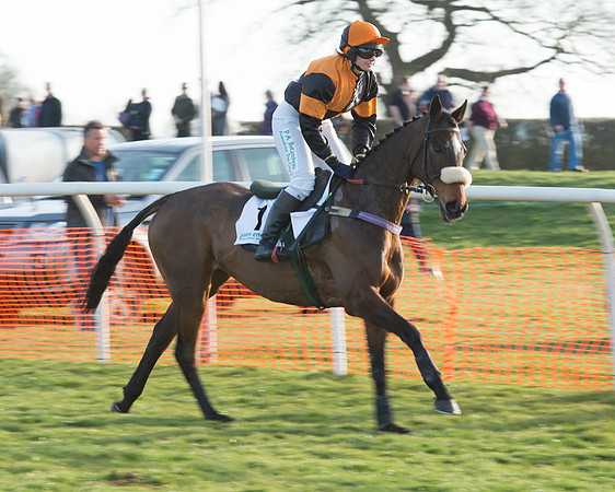 Race 7 - Novice Riders Race (13 of 145).jpg