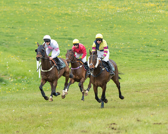Race 4 - Mixed Open   (33 of 80)