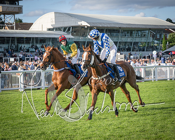 Race 4 - Peretemps Stratford Foxhunters (33 of 168)