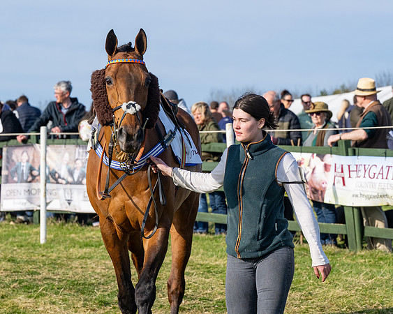 Race 5 - PPORA Five years and over (37 of 163)