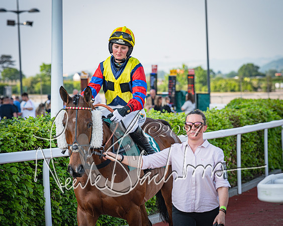 Race 3 - The Junior Jumpers open hunter's steeple chase 3m1f56y (26 of 156)