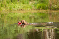 WCGB-04AUG-2013 Water Training Day  5