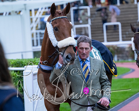Race 7 - Glos Hussars (9 of 220)