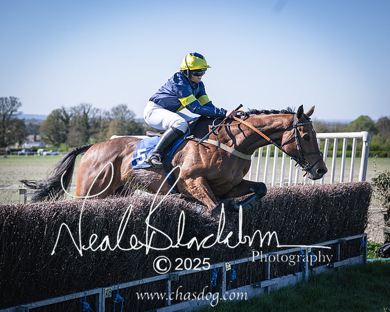 Race 5 - The restricted (101 of 113)