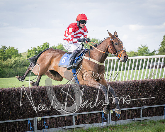 Race 6 - Thorn Plant Hire Maiden Race (78 of 129)