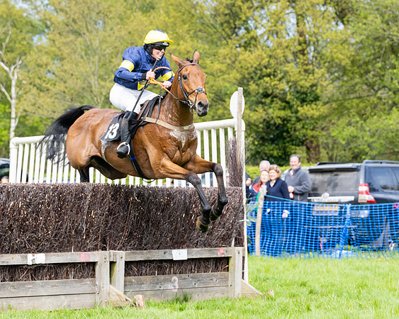 Race 2 - Veteran Horse (61 of 80)