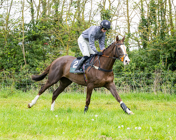 Race 3 - Young Horse Maiden (4 of 216)