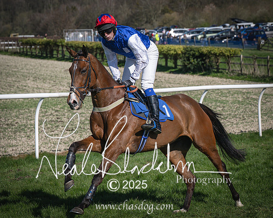 Race 6 - Veteran horse (29 of 109)