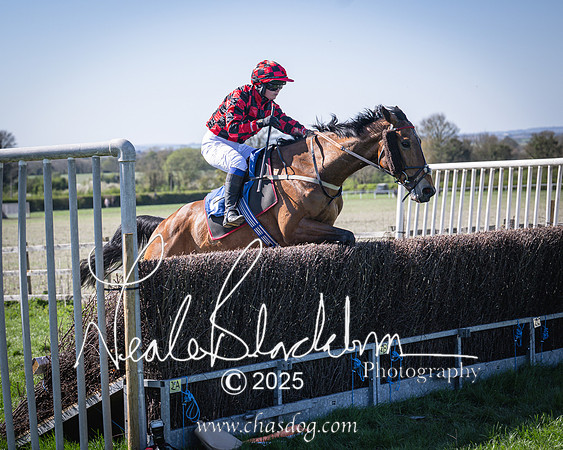 Race 5 - The restricted (87 of 113)