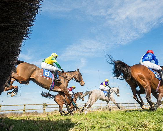 Race 1 - Open Maiden Division 2 (73 of 173)