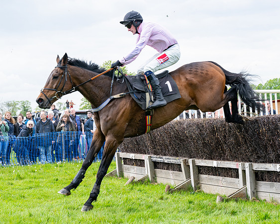 Race 2 - Veteran Horse (56 of 80)