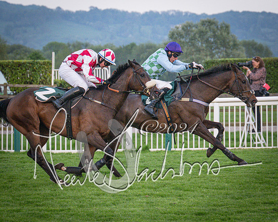 Race - 7 The Royal Gloucester Hussars Open Hunter's steeplechase 2m4f 127y (120 of 210)