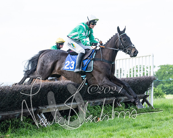 Race 5  - Maiden race 2m5F Div-2 (141 of 205)