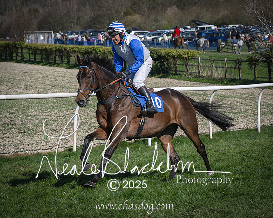 Race 6 - Veteran horse (34 of 109)