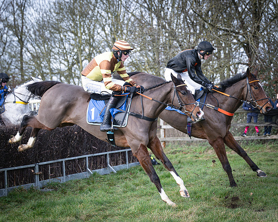 Race 1 - All Is True - Jack Andrews (16 of 38)