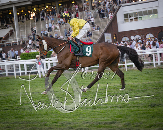 Race - 7 The Royal Gloucester Hussars Open Hunter's steeplechase 2m4f 127y (32 of 210)