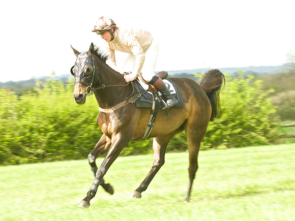 Kimblewick at Kimble Restricted Race
