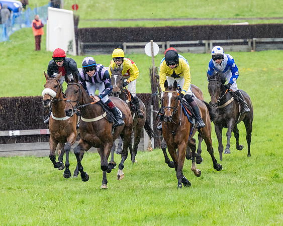 Race 8 - Bumper Div 2 (16 of 84)