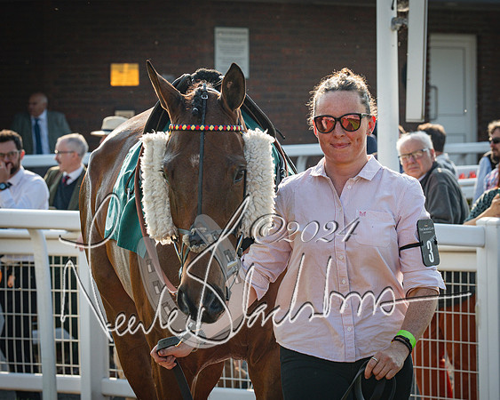 Race 3 - The Junior Jumpers open hunter's steeple chase 3m1f56y (15 of 156)